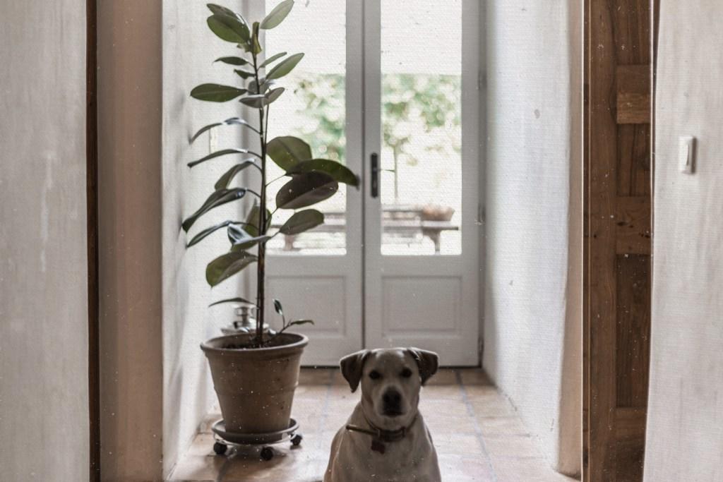 Residence Crone Castillon-en-Couserans Екстериор снимка